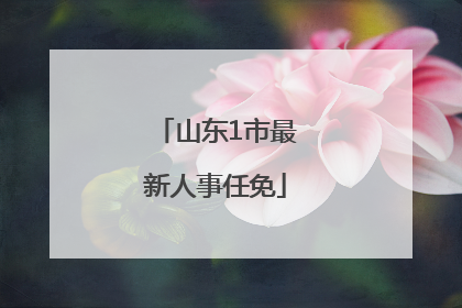 山东1市最新人事任免