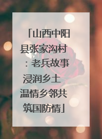 山西中阳县张家沟村：老兵故事浸润乡土 温情乡邻共筑国防情