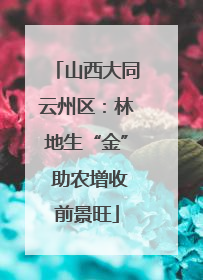 山西大同云州区：林地生“金” 助农增收前景旺