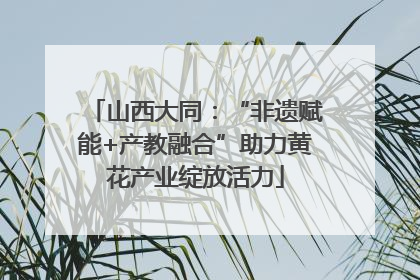 山西大同：“非遗赋能+产教融合”助力黄花产业绽放活力
