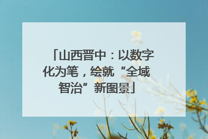 山西晋中：以数字化为笔，绘就“全域智治”新图景
