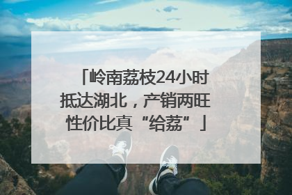 岭南荔枝24小时抵达湖北，产销两旺性价比真“给荔”