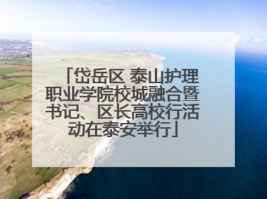 岱岳区 泰山护理职业学院校城融合暨书记、区长高校行活动在泰安举行