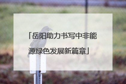 岳阳助力书写中非能源绿色发展新篇章