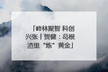 峰林聚智 科创兴张丨贺健：葛根渣里“炼”黄金