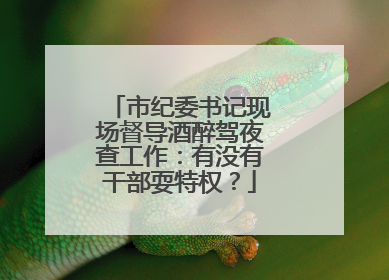 市纪委书记现场督导酒醉驾夜查工作：有没有干部耍特权？