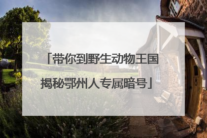 带你到野生动物王国揭秘鄂州人专属暗号