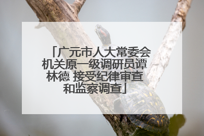 广元市人大常委会机关原一级调研员谭林德 接受纪律审查和监察调查