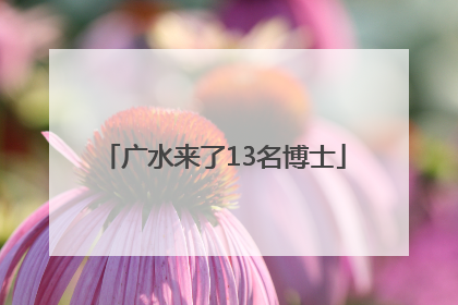 广水来了13名博士