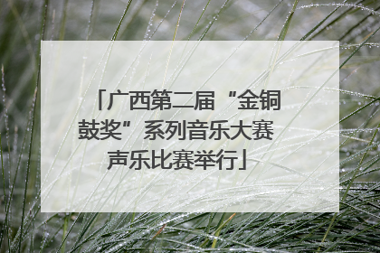 广西第二届“金铜鼓奖”系列音乐大赛声乐比赛举行