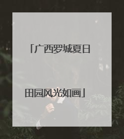 广西罗城夏日田园风光如画