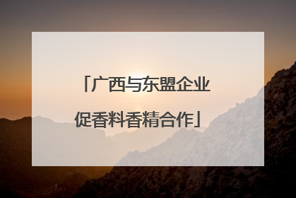 广西与东盟企业促香料香精合作