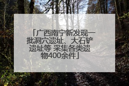 广西南宁新发现一批洞穴遗址、大石铲遗址等 采集各类遗物400余件