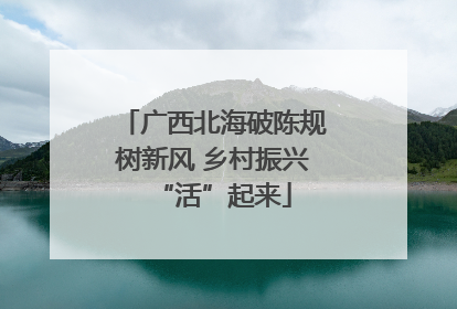 广西北海破陈规树新风 乡村振兴“活”起来