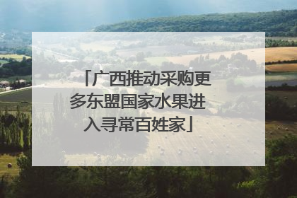 广西推动采购更多东盟国家水果进入寻常百姓家