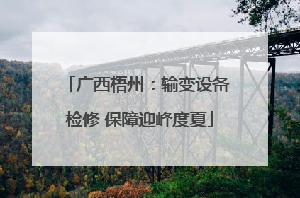 广西梧州：输变设备检修 保障迎峰度夏