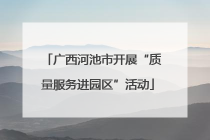 广西河池市开展“质量服务进园区”活动
