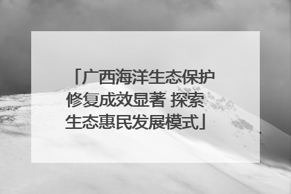 广西海洋生态保护修复成效显著 探索生态惠民发展模式