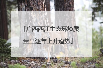 广西西江生态环境质量呈逐年上升趋势