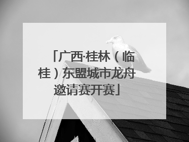 广西·桂林（临桂）东盟城市龙舟邀请赛开赛