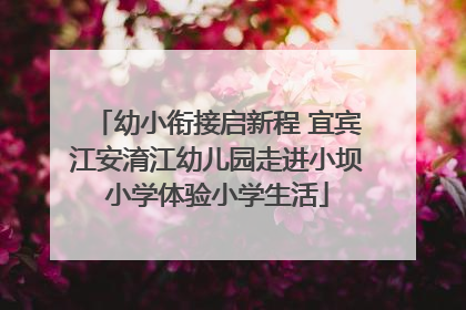 幼小衔接启新程 宜宾江安淯江幼儿园走进小坝小学体验小学生活