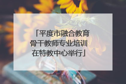 平度市融合教育骨干教师专业培训在特教中心举行