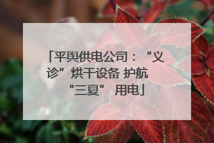 平舆供电公司：“义诊”烘干设备 护航 “三夏” 用电