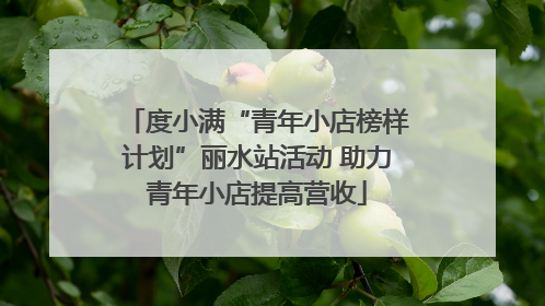度小满“青年小店榜样计划”丽水站活动 助力青年小店提高营收