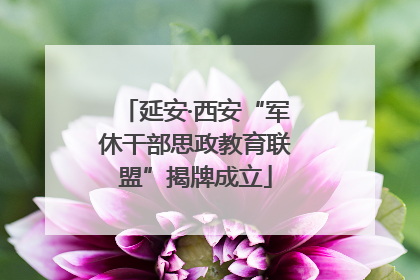 延安·西安“军休干部思政教育联盟”揭牌成立