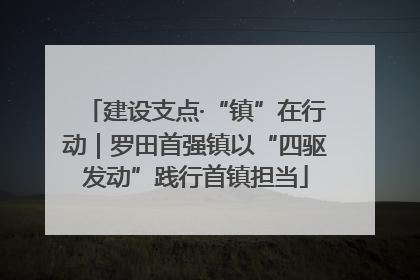 建设支点·“镇”在行动｜罗田首强镇以“四驱发动”践行首镇担当