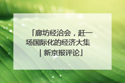 廊坊经洽会，赶一场国际化的经济大集｜新京报评论