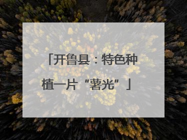 开鲁县：特色种植一片“薯光”