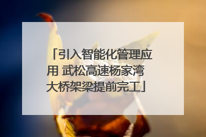 引入智能化管理应用 武松高速杨家湾大桥架梁提前完工
