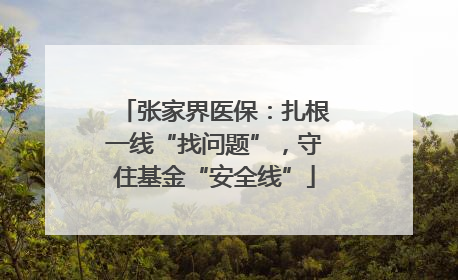 张家界医保：扎根一线“找问题”，守住基金“安全线”