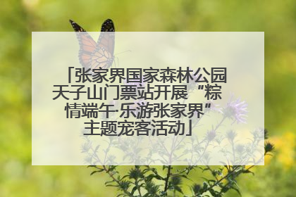 张家界国家森林公园天子山门票站开展“粽情端午·乐游张家界”主题宠客活动