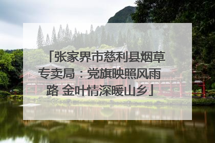张家界市慈利县烟草专卖局：党旗映照风雨路 金叶情深暖山乡