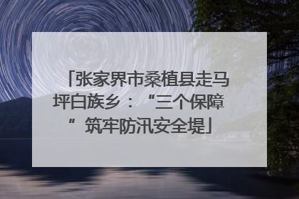 张家界市桑植县走马坪白族乡：“三个保障”筑牢防汛安全堤