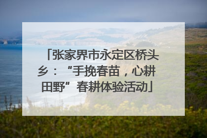 张家界市永定区桥头乡：“手挽春苗，心耕田野”春耕体验活动