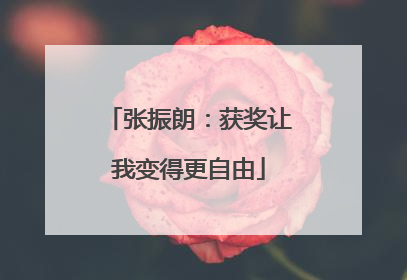 张振朗：获奖让我变得更自由