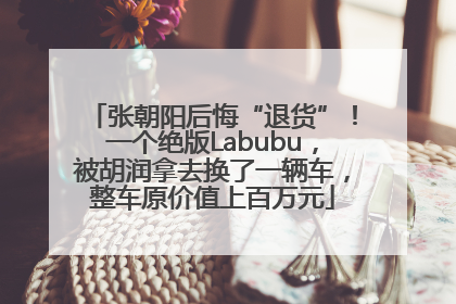 张朝阳后悔“退货”！一个绝版Labubu，被胡润拿去换了一辆车，整车原价值上百万元