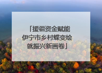 援疆资金赋能 伊宁市乡村蝶变绘就振兴新画卷