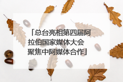 总台亮相第四届阿拉伯国家媒体大会 聚焦中阿媒体合作