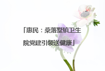 惠民：桑落墅镇卫生院党建引领送健康