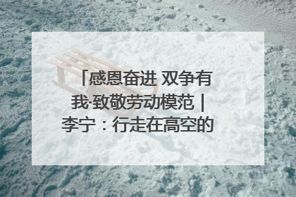 感恩奋进 双争有我·致敬劳动模范｜李宁：行走在高空的“电网卫士”
