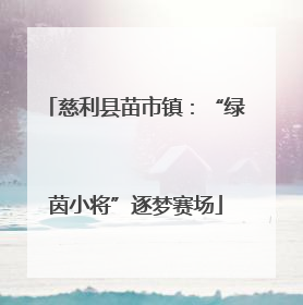 慈利县苗市镇：“绿茵小将”逐梦赛场