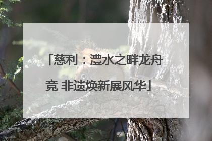 慈利：澧水之畔龙舟竞 非遗焕新展风华