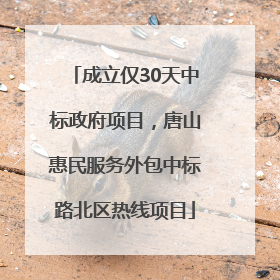 成立仅30天中标政府项目，唐山惠民服务外包中标路北区热线项目