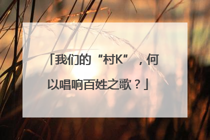 我们的“村K”，何以唱响百姓之歌？