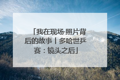 我在现场·照片背后的故事丨多哈世乒赛：镜头之后