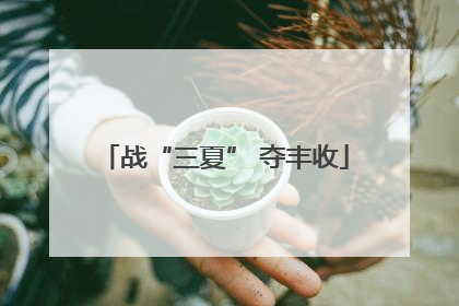 战“三夏” 夺丰收